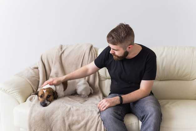 Основные способы заражения глистами от собаки