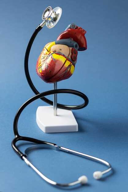 Анатомия сердца и его внутренних структур